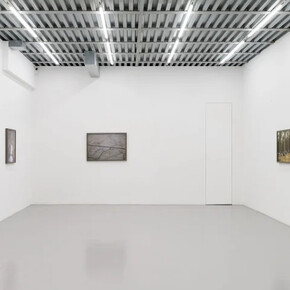 Silvia Camporesi, Uno strappo nel cielo di carta, exhibition view. Courtesy of z2o Sara Zanin Gallery