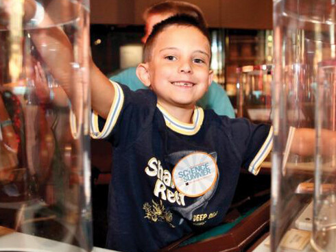 Electricity. Courtesy of The Franklin Institute