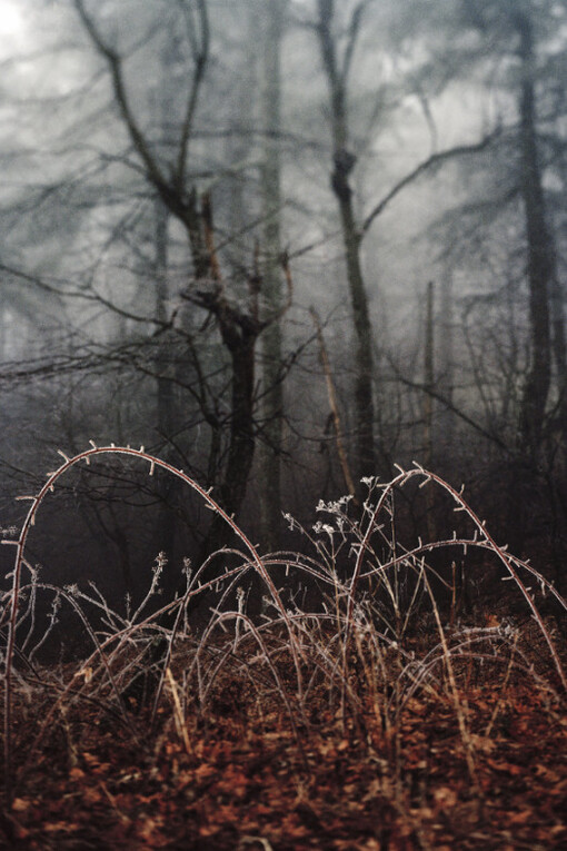 Rollercoaster. Courtesy of Team (gallery, inc.)