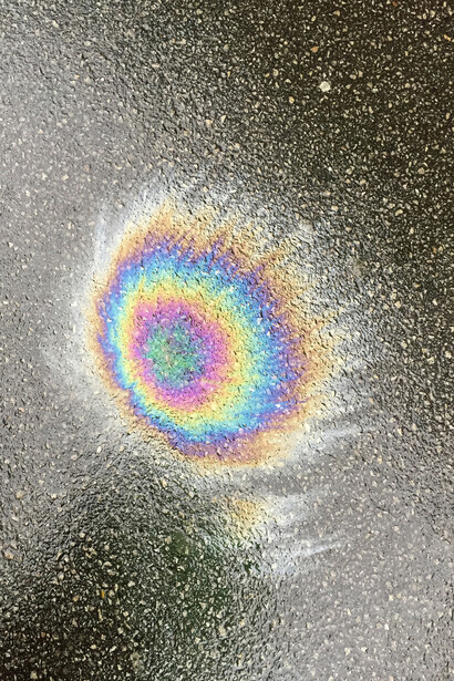 Miriam Häfele, Motif from the series »Animals looking through windows«, 2025. Courtesy of Staatsgalerie Stuttgart