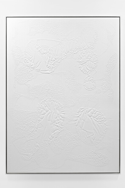 Santiago Taccetti, Untitled (Einstatzbereich Innen - Außen), Household acrylic on canvas, 200 x 145 x 3.5 cm, 2015