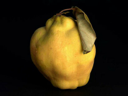 Quince