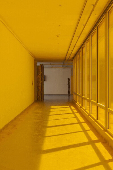 The Broken Shell of the Hermit Crab. Courtesy of the artist