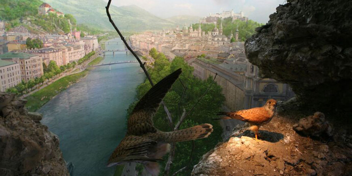 Habitats Diorama. Courtesy of Haus der Natur 