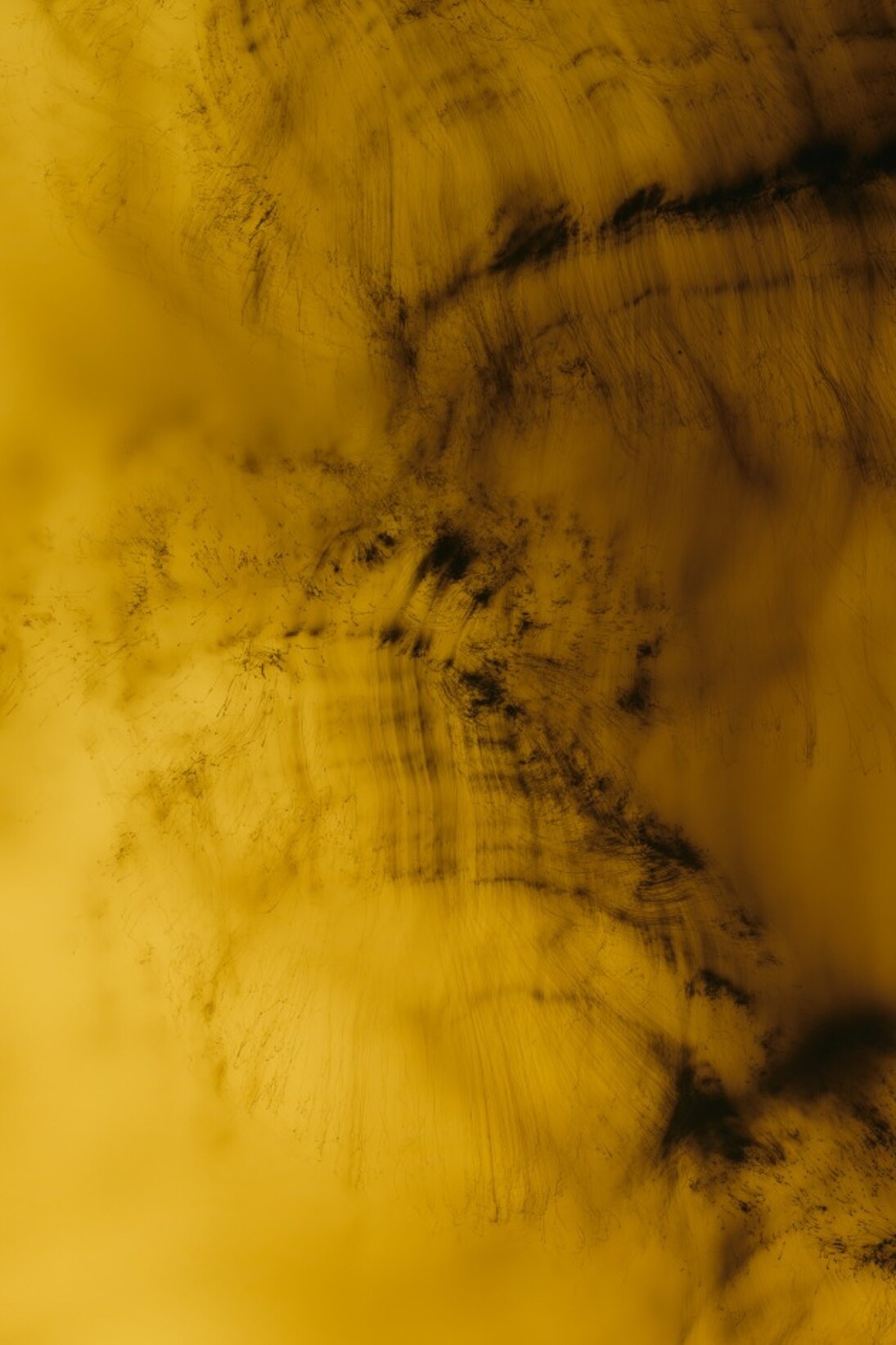 Wolfgang Tillmans, Greifbar 29 2014 © Wolfgang Tillmans