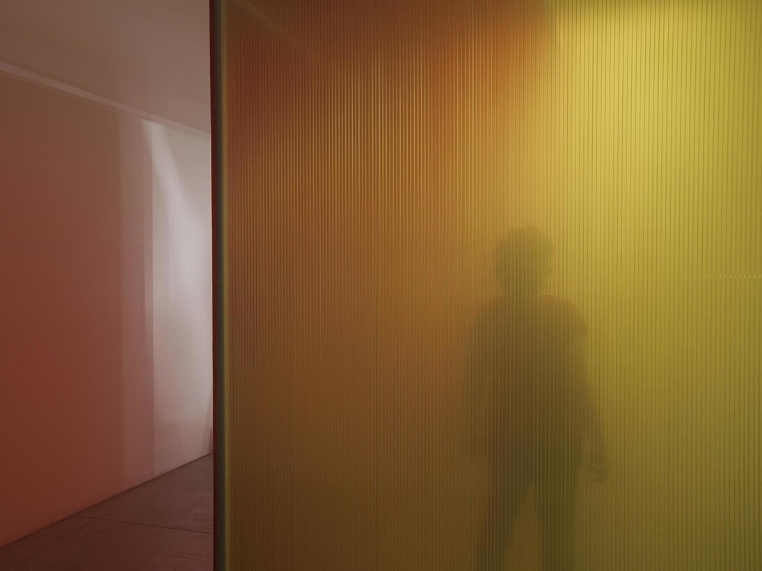 Ann Veronica Jenssens