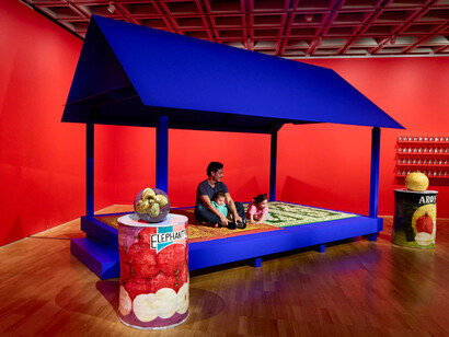 Mechelle Bounpraseuth, ສູ້ສູ້ sou sou, exhibition view. Courtesy of Art Gallery of NSW