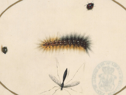 The Charm of the Small. Courtesy of Gemäldegalerie