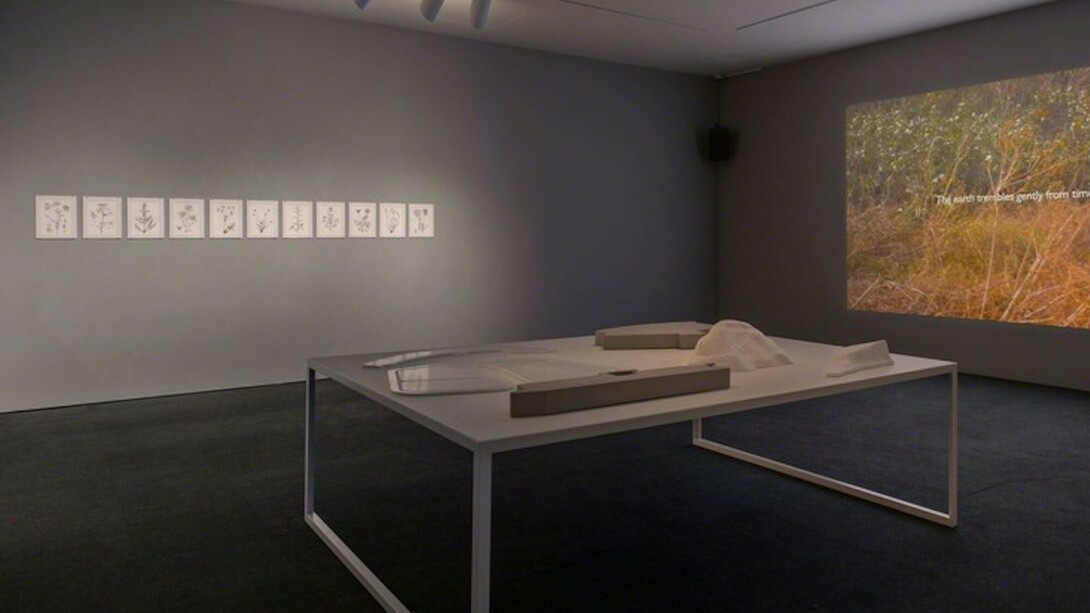 Hammer Projects: Marwa Arsanios, Exhibition view. Courtesy of Hammer Museum