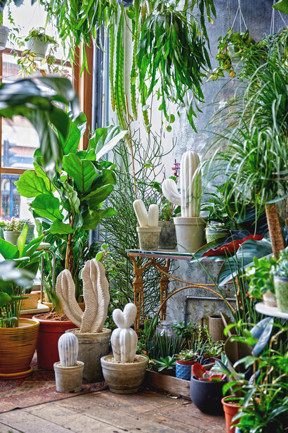 The Cactus House. Courtesy of Hignell Gallery