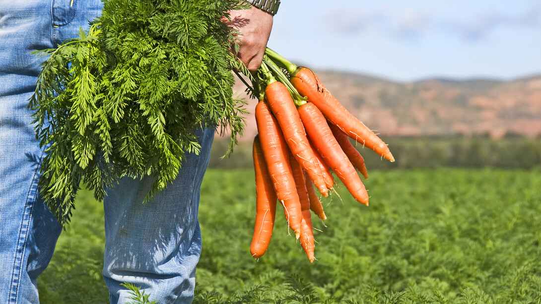 ¿Sabemos de dónde salen los alimentos que estamos consumiendo?