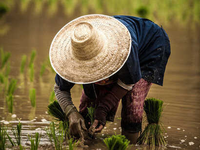 Precarious working conditions