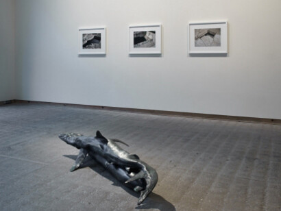 Installation View of Bond and Wormhole i, ii, iii, 2015. Patinated bronze (Bond), Archival pigment print (Wormhole) 42.5 x 183 x 71 cm (Bond), 57 x 71.8 x 3.5 cm (Wormhole, framed). Courtesy the artist and Frith Street Gallery, London. Photography by Steve White.