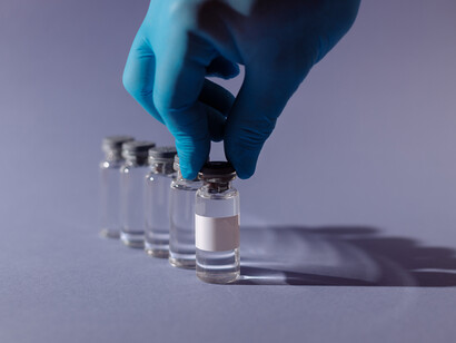 Maladie du charbon. A force d’essais, Pasteur obtient, six mois plus tard, un vaccin efficace et stable