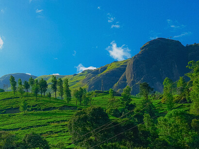 Rolling tea plantations stretching across the hills of Munnar, Kerala, representing the region’s tea-growing heritage and breathtaking mountain landscapes