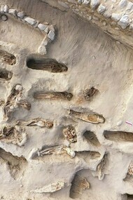 Crianças sacrificadas em ritual na costa norte do Peru. Crédito: Reprodução, Aventuras na História. A relação entre primogenitura, poder e violência revela-se particularmente fecunda quando analisada a partir das estruturas míticas que articulam sucessão, legitimidade e ruptura. Em numerosas tradições narrativas, o primogênito aparece investido de um direito originário — o da precedência — que, paradoxalmente, o expõe a um risco permanente. Longe de constituir uma posição estável, a primogenitura carrega uma instabilidade estrutural, pois concentra, num único corpo, tanto a promessa de continuidade da ordem quanto a possibilidade de sua desagregação