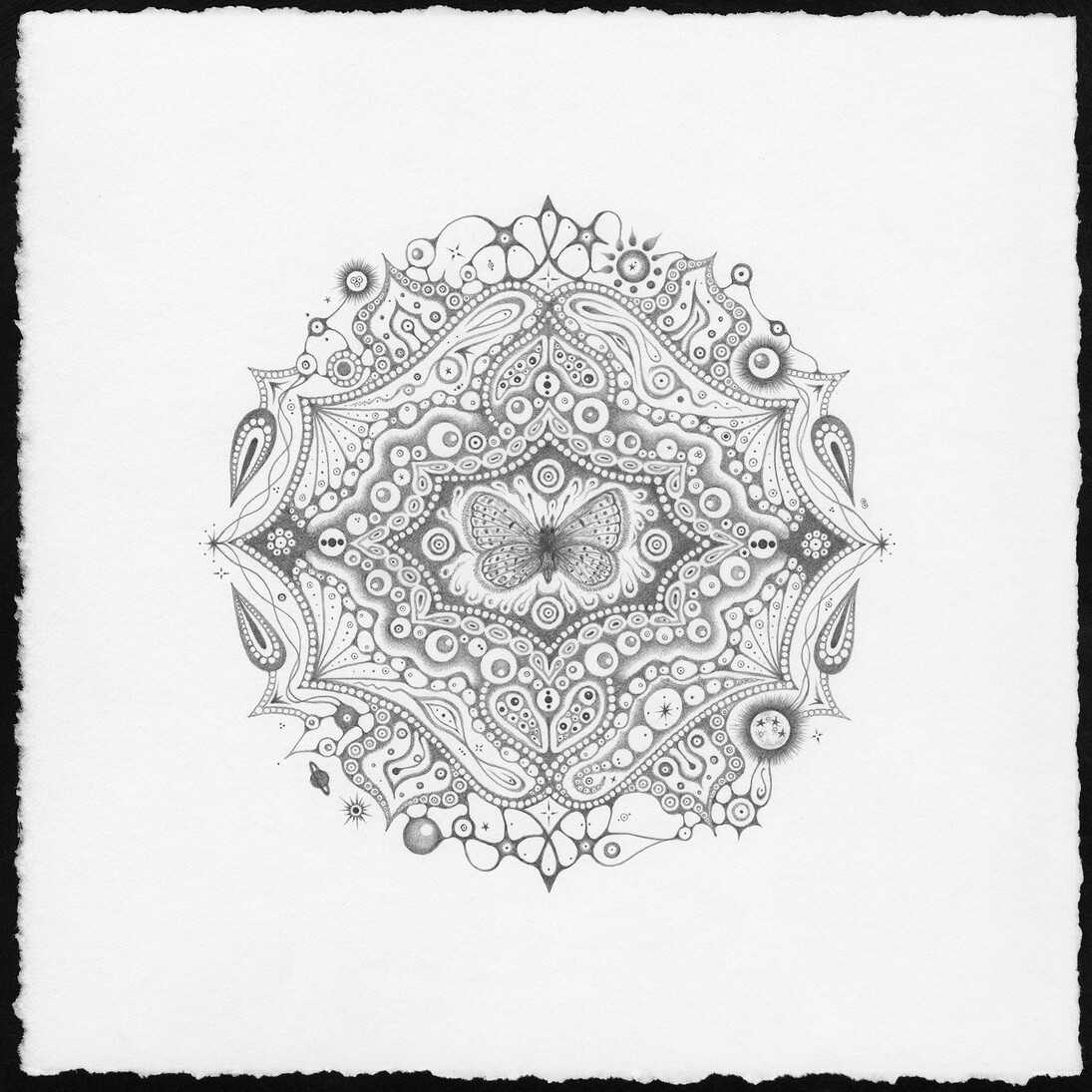 Michiyo Ihara, Snowflakes #117, graphite on paper, 
10.25 x 10.25 inches