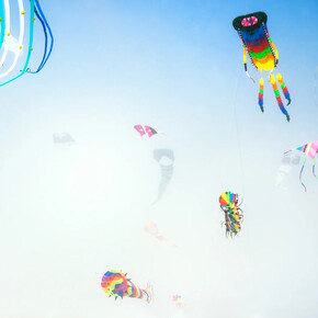 Sally Gall, Heavenly creatures, 2016. Courtesy of Robert Klein Gallery