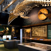 In other words, Québec, exhibition view. Courtesy of Musée de la civilisation