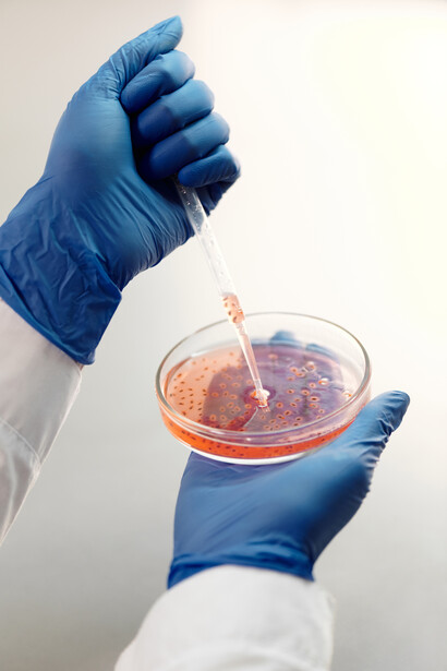 Os micróbios que resistem a radiação são, por outro lado, menos resistentes ao calor, sendo eliminados durante o processo de preparação dos alimentos