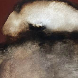 Anide, Anatomy of a flying stone (détail), 2025. Avec l'aimable autorisation de la Galerie Prima