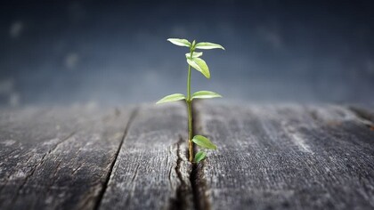 Attraversare i meandri più bui della vita