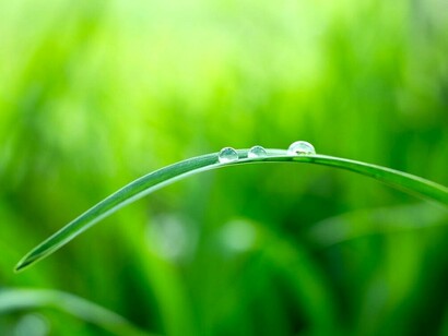 Respetar el medio y ofrecer un legado a las nuevas generaciones