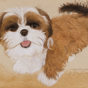 8x Su Young Lim (dyed mud pigments on handmade sumac paper, 23x32cm) 