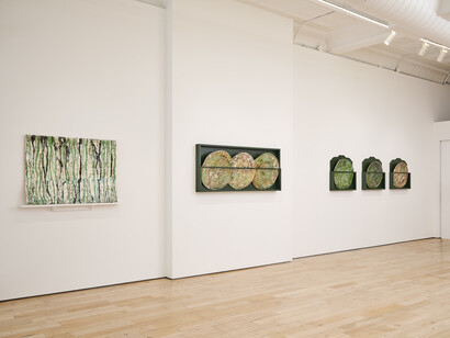 Marit Tingleff, Into the green, exhibition view. Courtesy of HB381 Gallery