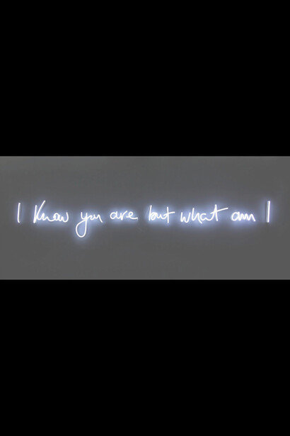 Elizabeth Eade, I know you are but what am I, neon, length 300 cm, 2019. Copyright the artist. Courtesy HIX Art

