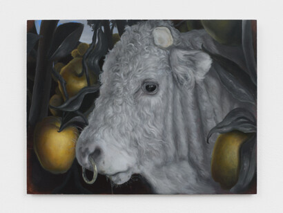 Johannes Högbom, Ungtjur, 2023. Courtesy of the artist and Harkawik, LA