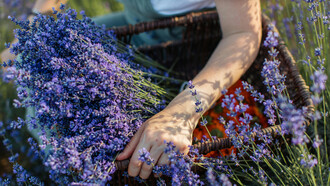 Para conectar con nuestra energía, es necesario escuchar la voz interior