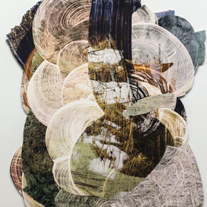 Wil Murray, Exhibition view. Courtesy of Vitrine