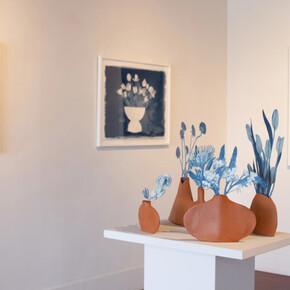 Daniela Oliver de Portillo, So marvelous, de nuevo florece, exhibition view. Courtesy of Ruiz-Healy Art Gallery