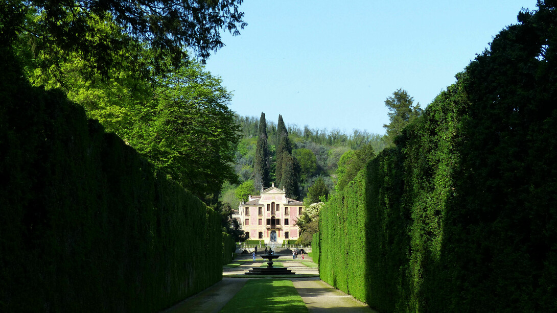 Il viale del carro costeggiato da spalliere di Buxus sempervirens