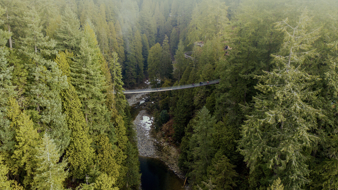 Puente colgante de Capilano, Vancouver, Canadá
