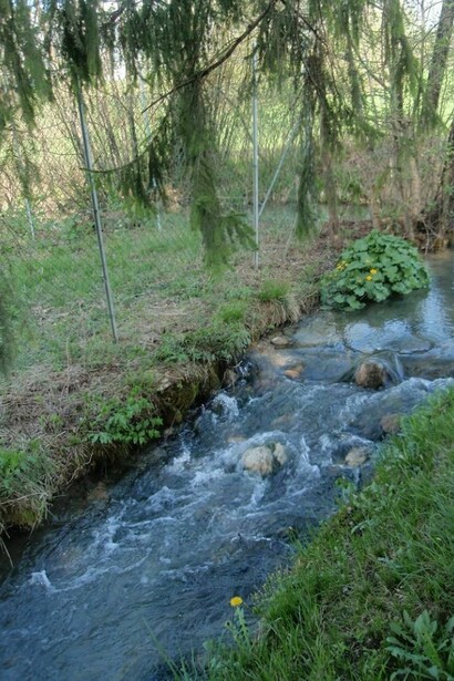 Corso d'acqua montano