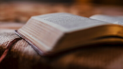 Ramón Fernández Palmeral (Piedrabuena, Ciudad Real, 1947), conocido como Ramón Palmeral, es un pintor y novelista español, además de poeta, ensayista y editor