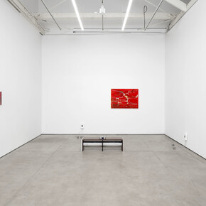 Molly Rose Lieberman, My paradise, exhibition view. Courtesy of Matthew Brown Gallery