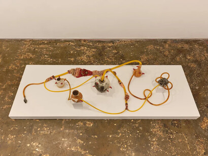 Romina Chuls, La cosecha (The harvest), exhibition view. Courtesy of A.I.R. Gallery