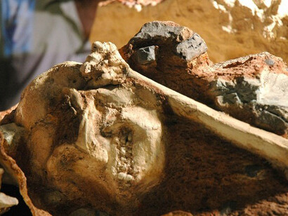 Il teschio del cosiddetto "Little Foot"