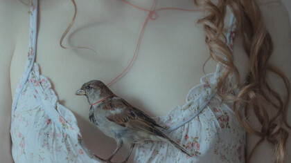 L'impatto. Ph Laura Makabresku