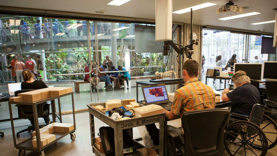 Project Lab. Courtesy of California Academy of Sciences