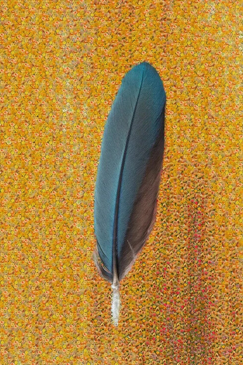 Charles Turnell, Feathers (1) (detail), 2025. Courtesy of Bruno David Gallery