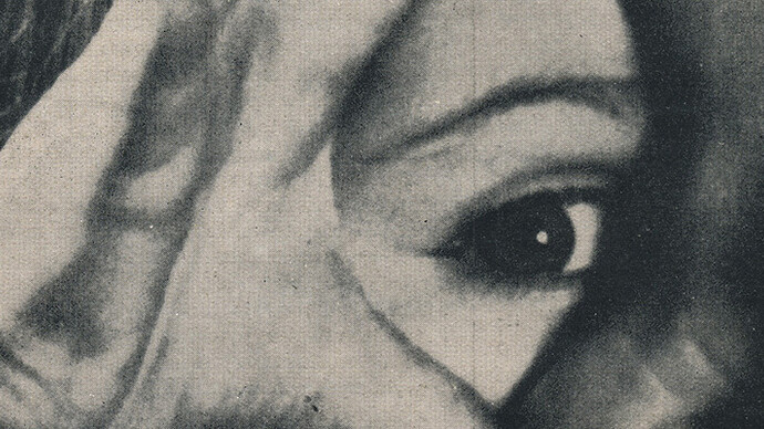 Fotografia Magazine 1953-1974. Courtesy of Wroclaw Contemporary Museum
 