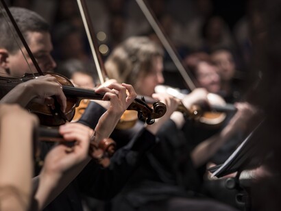 Violini dell'Orchestra di Padova e del Veneto