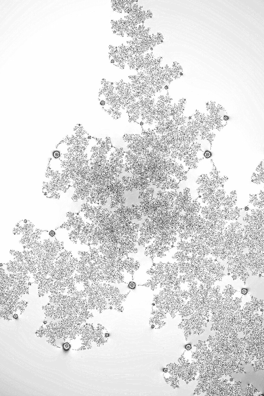 Emanuela Guggiola Pasolini