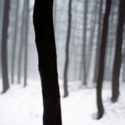 Jitka Hanzlová: Silences. Courtesy of National Gallery