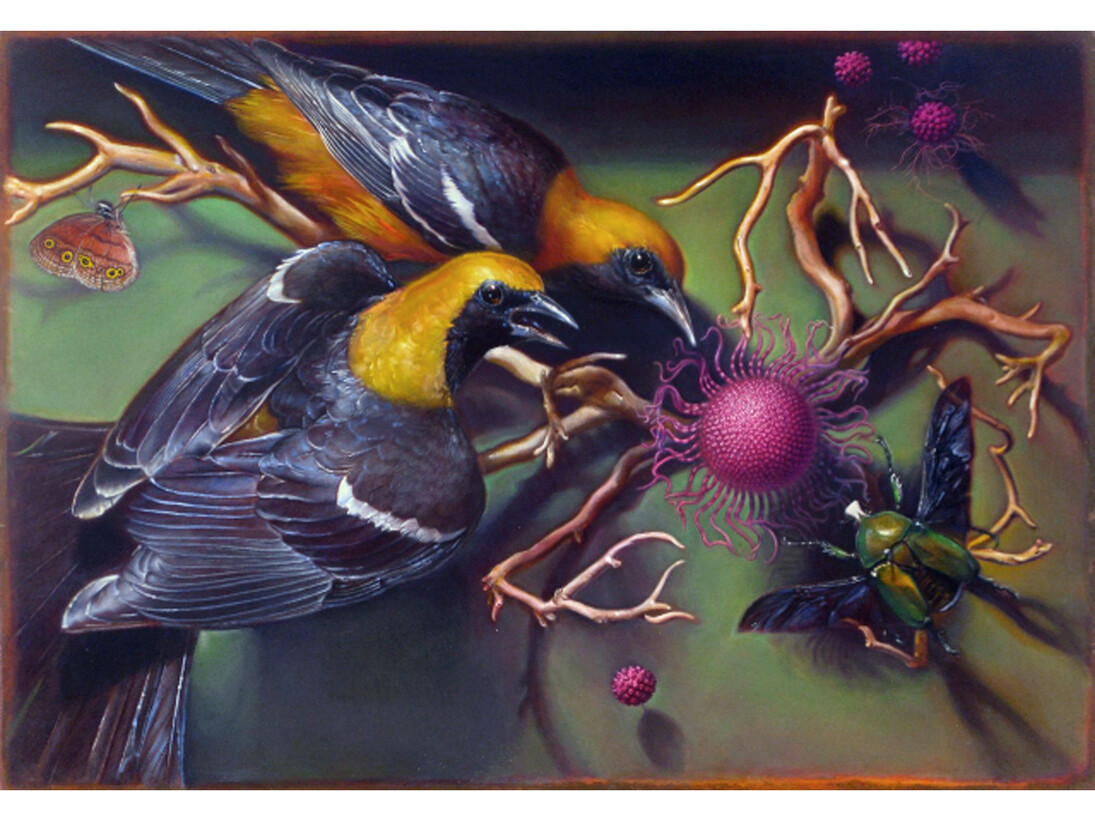 Kevin King, Diorama with Orioles, 2012, Oil on copper plate. Work Size: 7 x 10 1/2 inches, 17.8 x 26.7 cm. Framed Size: 12 3/4 x 16 inches, 32.4 x 40.6 cm