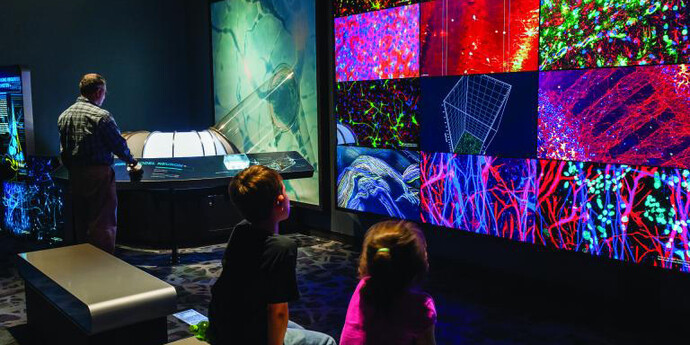Your Brain. Courtesy of The Franklin Institute
